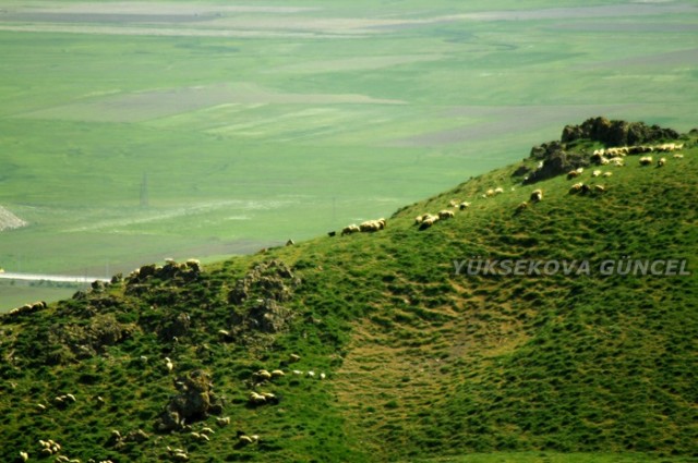 FOTOĞRAF; Ümit BARTIN