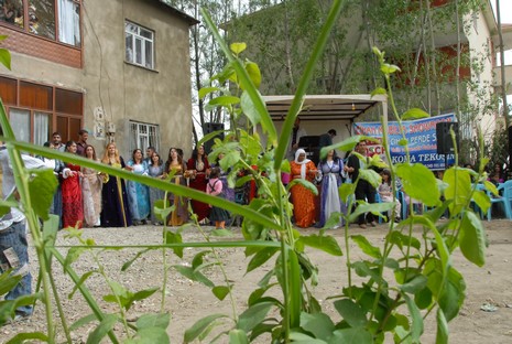 Yüksekova'da 29-30 Mayıs tarihleri arasında evlenen çiftleri sizler için sayfamıza taşıdık.