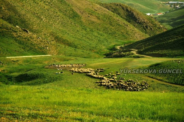 FOTOĞRAF; Ümit BARTIN