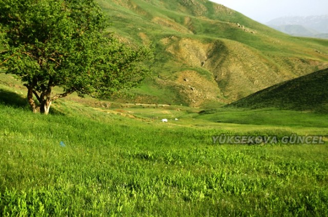 FOTOĞRAF; Ümit BARTIN