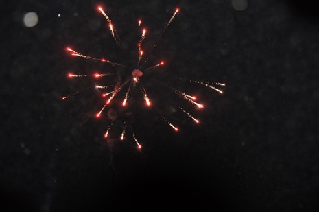 Yüksekova'da 26-27 Haziran 2010 tarihleri arasında evlenen çiftleri sizler için sayfamıza taşıdık.