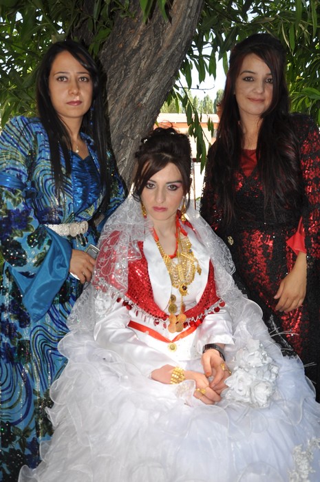 Yüksekova'da 26-27 Haziran 2010 tarihleri arasında evlenen çiftleri sizler için sayfamıza taşıdık.