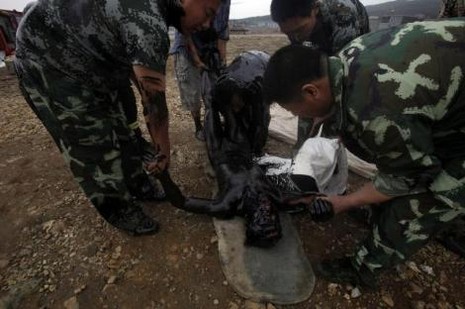 Dünya, Meksika Körfezi'ndeki çevre felaketinden sonra yeni bir felaketle karşı karşıya. Çin'de ülke tarihinin en büyük petrol sızıntısında, okyanus üzerinde şimdiden 430 kilometre kareden fazla bir alan zifiri siyaha büründü.