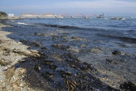 Dünya, Meksika Körfezi'ndeki çevre felaketinden sonra yeni bir felaketle karşı karşıya. Çin'de ülke tarihinin en büyük petrol sızıntısında, okyanus üzerinde şimdiden 430 kilometre kareden fazla bir alan zifiri siyaha büründü.
