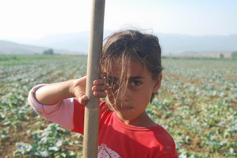 Kürt oldukları için hastanede tedavi edilmiyorlar, arabaya alınmıyorlar, şehir merkezine yürüyerek gidiyorlar. Kalacak yerleri yok, naylon çadırlarda yaşıyorlar,