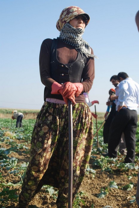 Kürt oldukları için hastanede tedavi edilmiyorlar, arabaya alınmıyorlar, şehir merkezine yürüyerek gidiyorlar. Kalacak yerleri yok, naylon çadırlarda yaşıyorlar,