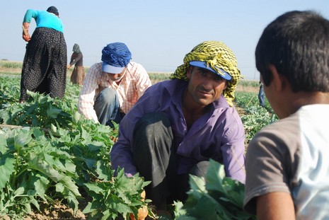 Kürt oldukları için hastanede tedavi edilmiyorlar, arabaya alınmıyorlar, şehir merkezine yürüyerek gidiyorlar. Kalacak yerleri yok, naylon çadırlarda yaşıyorlar,