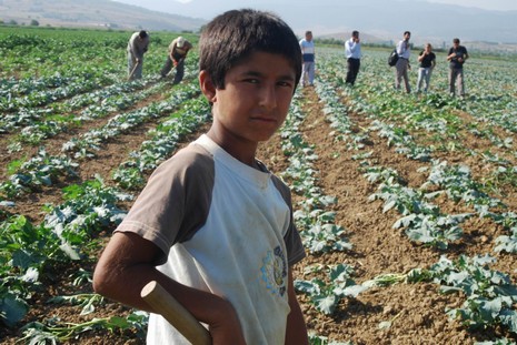 Kürt oldukları için hastanede tedavi edilmiyorlar, arabaya alınmıyorlar, şehir merkezine yürüyerek gidiyorlar. Kalacak yerleri yok, naylon çadırlarda yaşıyorlar,