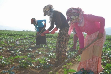 Kürt oldukları için hastanede tedavi edilmiyorlar, arabaya alınmıyorlar, şehir merkezine yürüyerek gidiyorlar. Kalacak yerleri yok, naylon çadırlarda yaşıyorlar,