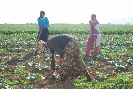 Kürt oldukları için hastanede tedavi edilmiyorlar, arabaya alınmıyorlar, şehir merkezine yürüyerek gidiyorlar. Kalacak yerleri yok, naylon çadırlarda yaşıyorlar,
