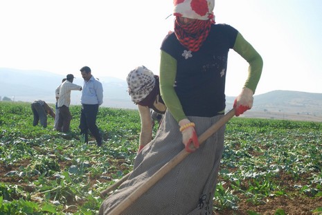 Kürt oldukları için hastanede tedavi edilmiyorlar, arabaya alınmıyorlar, şehir merkezine yürüyerek gidiyorlar. Kalacak yerleri yok, naylon çadırlarda yaşıyorlar,