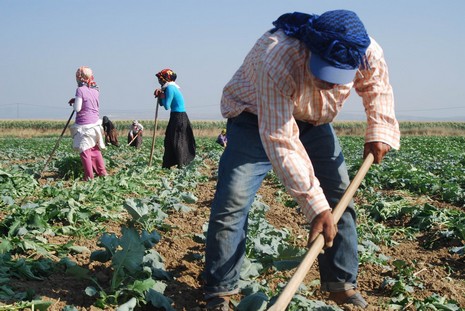 Kürt oldukları için hastanede tedavi edilmiyorlar, arabaya alınmıyorlar, şehir merkezine yürüyerek gidiyorlar. Kalacak yerleri yok, naylon çadırlarda yaşıyorlar,