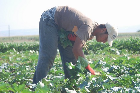 Kürt oldukları için hastanede tedavi edilmiyorlar, arabaya alınmıyorlar, şehir merkezine yürüyerek gidiyorlar. Kalacak yerleri yok, naylon çadırlarda yaşıyorlar,