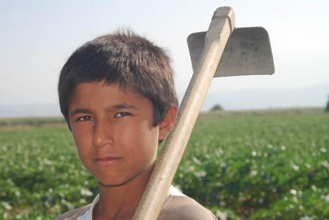 Kürt oldukları için hastanede tedavi edilmiyorlar, arabaya alınmıyorlar, şehir merkezine yürüyerek gidiyorlar. Kalacak yerleri yok, naylon çadırlarda yaşıyorlar,