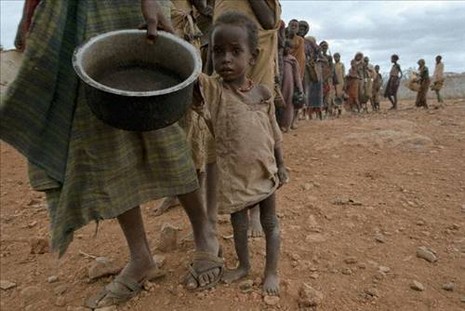 Ekinlerin ürün vermemesi ve hayvanların ölmesi sonucu çoğu aile evlerine mısır ve buğday gibi temel besinleri bile alamıyorlar