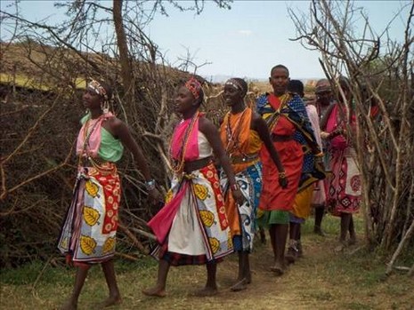 Ekinlerin ürün vermemesi ve hayvanların ölmesi sonucu çoğu aile evlerine mısır ve buğday gibi temel besinleri bile alamıyorlar