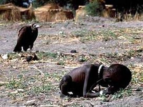 Ekinlerin ürün vermemesi ve hayvanların ölmesi sonucu çoğu aile evlerine mısır ve buğday gibi temel besinleri bile alamıyorlar