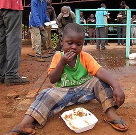 Ekinlerin ürün vermemesi ve hayvanların ölmesi sonucu çoğu aile evlerine mısır ve buğday gibi temel besinleri bile alamıyorlar