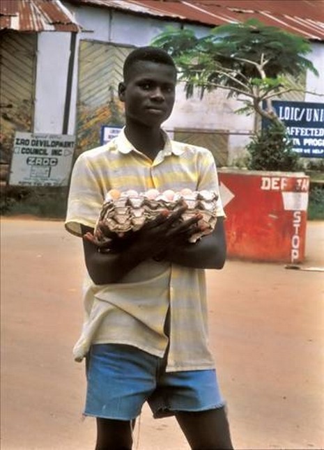 Ekinlerin ürün vermemesi ve hayvanların ölmesi sonucu çoğu aile evlerine mısır ve buğday gibi temel besinleri bile alamıyorlar
