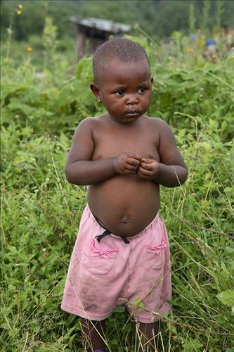 Ekinlerin ürün vermemesi ve hayvanların ölmesi sonucu çoğu aile evlerine mısır ve buğday gibi temel besinleri bile alamıyorlar