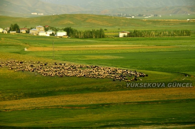 FOTOĞRAF; Ümit BARTIN