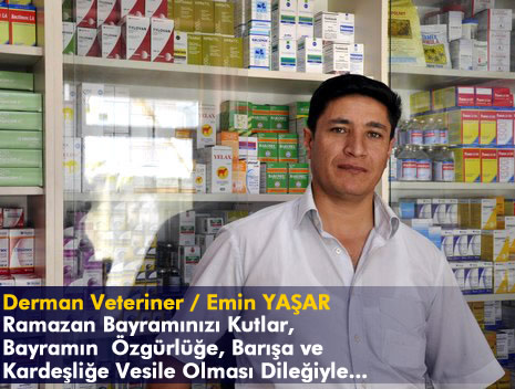 Yüksekova'da barış, huzur ve kardeşlik isteyen mesajlar...