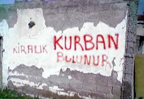 Yurdum insanı yine güldürdü