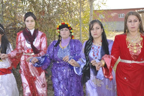 Yüksekova'da 06.07.11.2010 tarihleri arasında evlenen çiftleri sizler için sayfamıza taşıdık. Yüksekova Güncel olarak tüm çiftlerimize mutluluklar dileriz