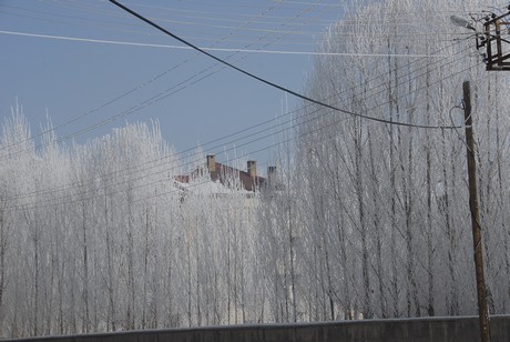 Yüksekova İlçesi'nde hava sıcaklığının gece sıfırın altında 23 dereceye kadar düşmesi yaşamı olumsuz yönde etkilerken, ortaya doyulmaz manzaralar çıktı.