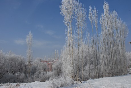 Yüksekova İlçesi'nde hava sıcaklığının gece sıfırın altında 23 dereceye kadar düşmesi yaşamı olumsuz yönde etkilerken, ortaya doyulmaz manzaralar çıktı.