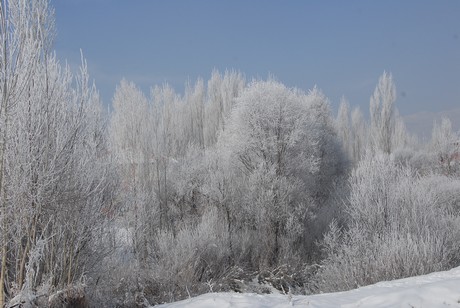Yüksekova İlçesi'nde hava sıcaklığının gece sıfırın altında 23 dereceye kadar düşmesi yaşamı olumsuz yönde etkilerken, ortaya doyulmaz manzaralar çıktı.