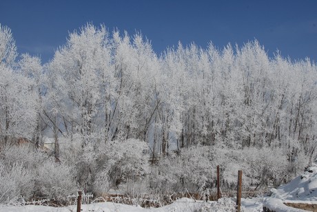 Yüksekova İlçesi'nde hava sıcaklığının gece sıfırın altında 23 dereceye kadar düşmesi yaşamı olumsuz yönde etkilerken, ortaya doyulmaz manzaralar çıktı.