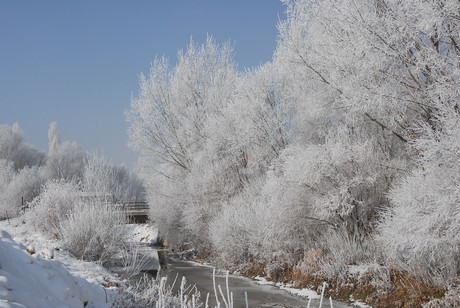 Yüksekova İlçesi'nde hava sıcaklığının gece sıfırın altında 23 dereceye kadar düşmesi yaşamı olumsuz yönde etkilerken, ortaya doyulmaz manzaralar çıktı.