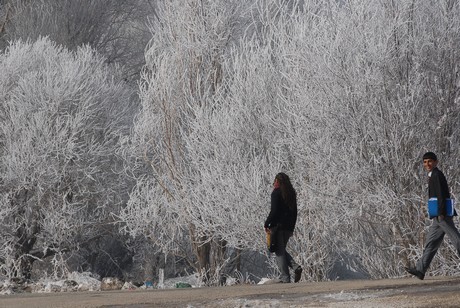Yüksekova İlçesi'nde hava sıcaklığının gece sıfırın altında 23 dereceye kadar düşmesi yaşamı olumsuz yönde etkilerken, ortaya doyulmaz manzaralar çıktı.