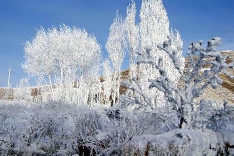 Van''ın Muradiye İlçesi''nde aşırı soğuklar nedeniyle tamamen donan Muradiye Şelalesi görenleri hayran bırakıyor.