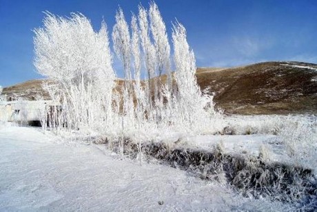 Van''ın Muradiye İlçesi''nde aşırı soğuklar nedeniyle tamamen donan Muradiye Şelalesi görenleri hayran bırakıyor.