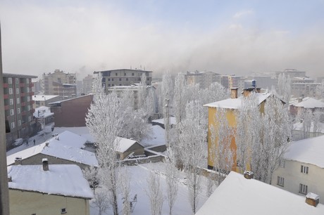 Yüksekova'da dünden beri yağan kar yağşı hayatı felç etti.