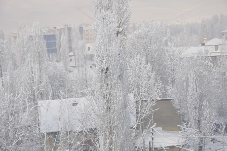 Yüksekova'da dünden beri yağan kar yağşı hayatı felç etti.