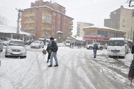 Yüksekova'da dünden beri yağan kar yağşı hayatı felç etti.