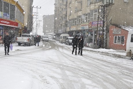 Yüksekova'da dünden beri yağan kar yağşı hayatı felç etti.