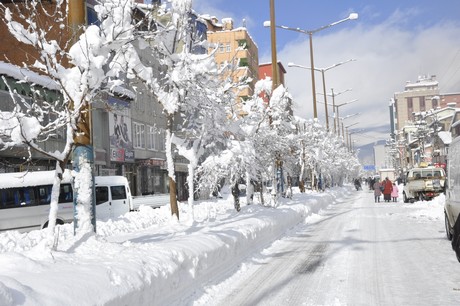 Yüksekova'da üç gündür aralıklarla yağan kar yağışı hayatı felç etti. 