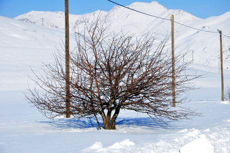 Kar'ın başkenti Yüksekova'dan doyumsuz görüntüleri ve fotoğrafları siz değerli okuyucularımız için hazırladık.