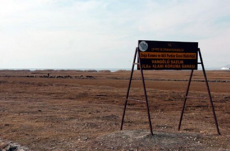 150 kuş türüne ev sahipliği yapan Kuş Cenneti, yok olma tehlikesiyle karşı karşıya.