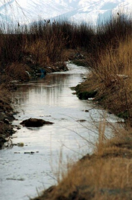 150 kuş türüne ev sahipliği yapan Kuş Cenneti, yok olma tehlikesiyle karşı karşıya.