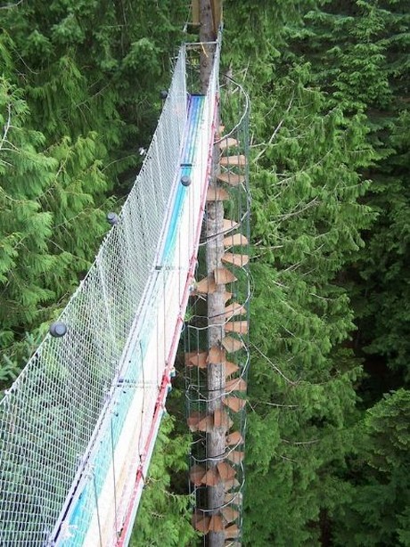 Dünyanın en tehlikeli ağaç evleri!