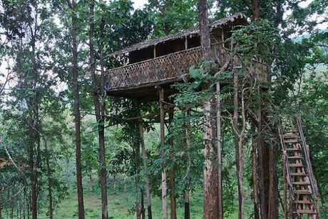Dünyanın en tehlikeli ağaç evleri!