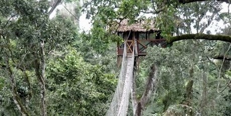 Dünyanın en tehlikeli ağaç evleri!