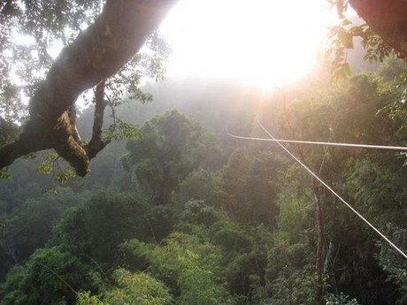 Dünyanın en tehlikeli ağaç evleri!