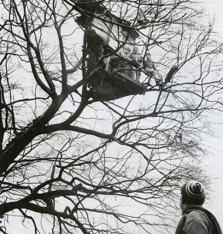 Dünyanın en tehlikeli ağaç evleri!