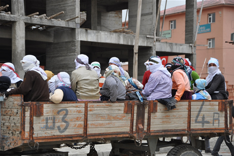 Baharın kendini hissettirmesiyle canlanan doğanın nimeti olan bitkiler Yüksekovada kadınların geçim kaynağı oldu. FOTO: YAŞAR KAPLAN